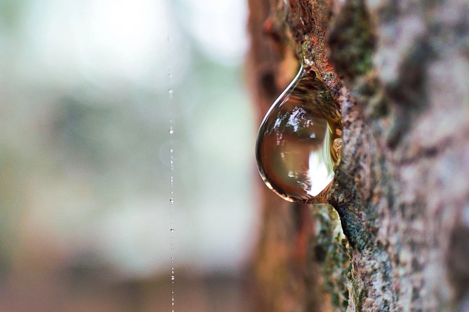 COMPLESSO MINIMIZZANTE PORI POREAWAY