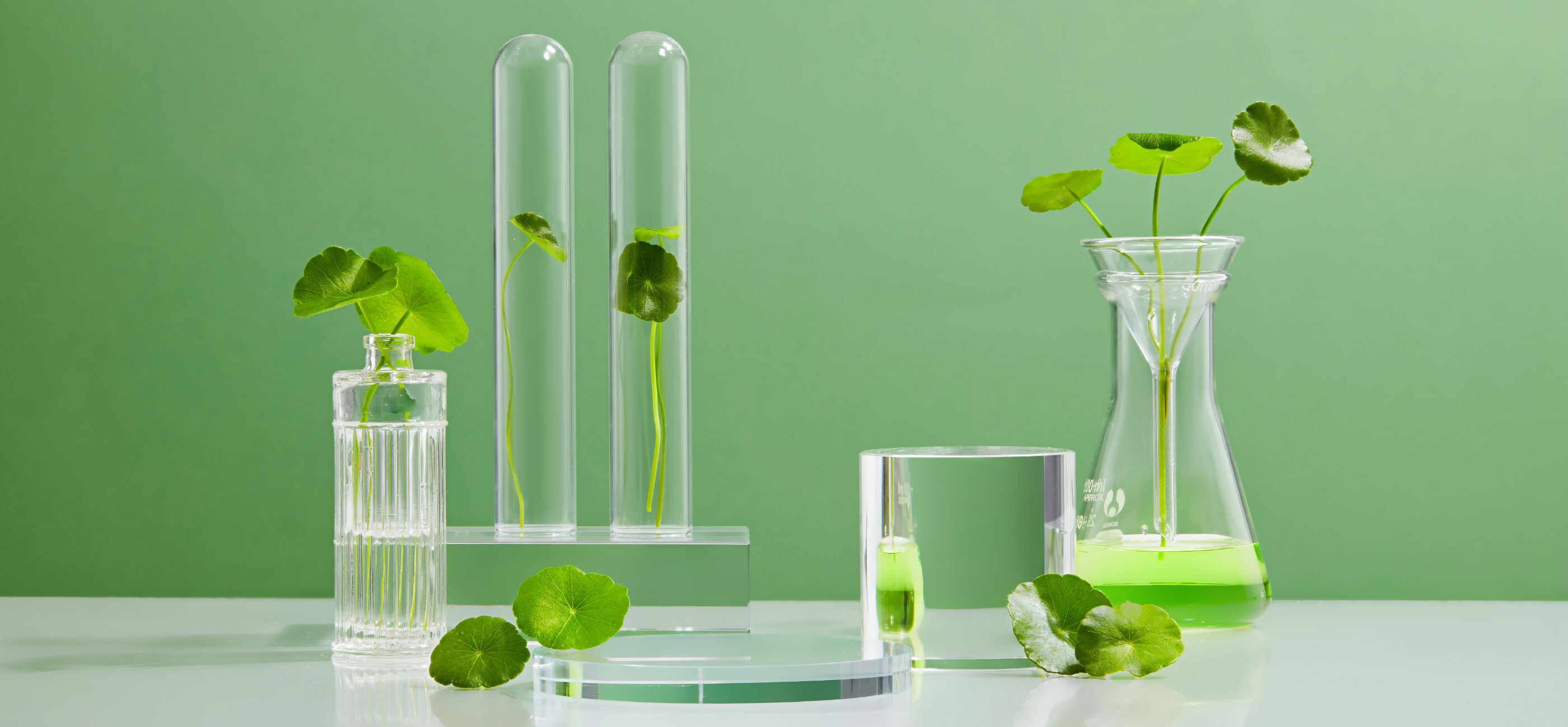 formulazione cosmetici