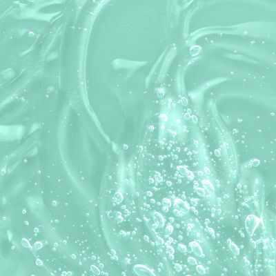 Salvia Officinalis Flower Leaf Stem Water