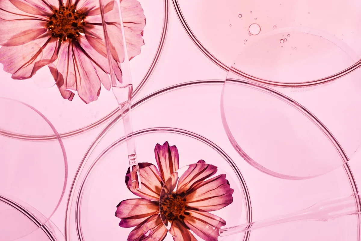 Parabeni nei cosmetici